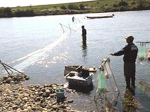 �����勴�����ɂ�2025�N11��7���x�q�O����B�e