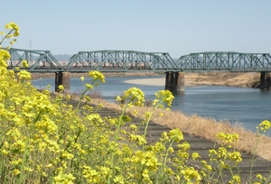 2026/3/1�򕌎s�]���ɂāF�x�q�O���� �B�e