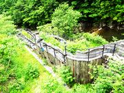 上坂本砂防えん堤の魚道