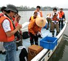 長良川環境観察会