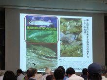 「長良川・河口堰」報告:向井さん