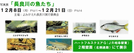 �ʐ^�W�u���ǐ�̋������v